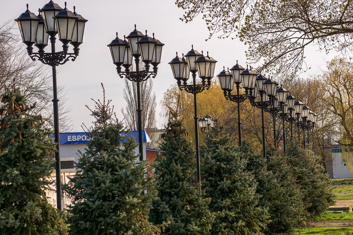 Городские фонари - Игорь Сикорский