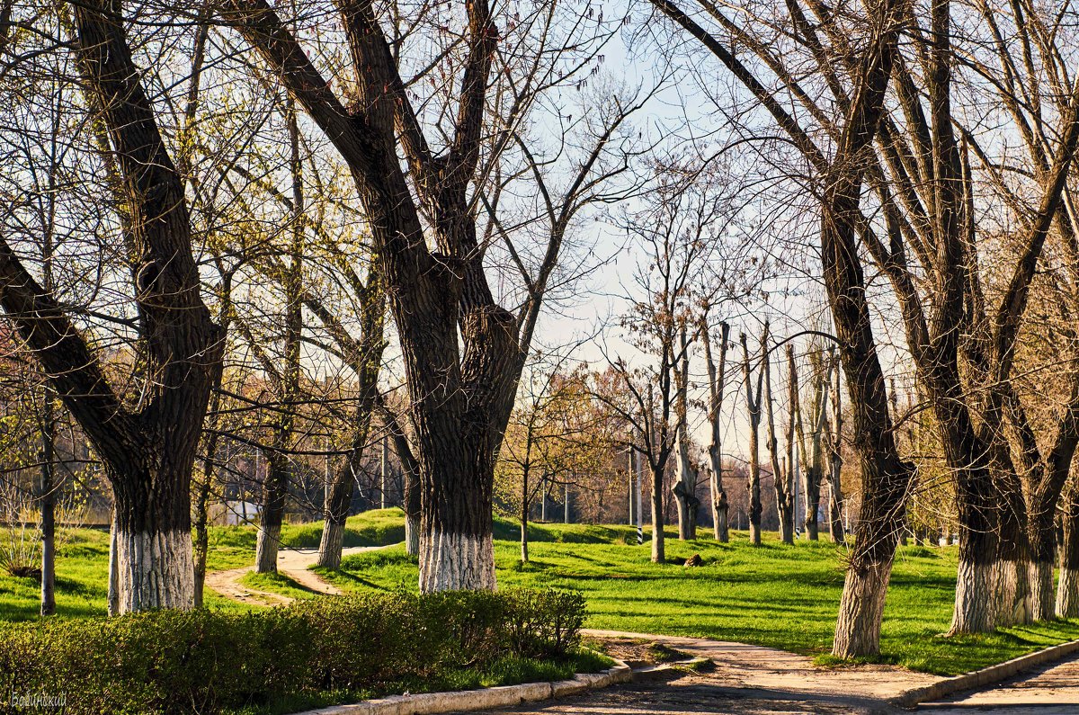 Городской пейзаж - Константин Бобинский