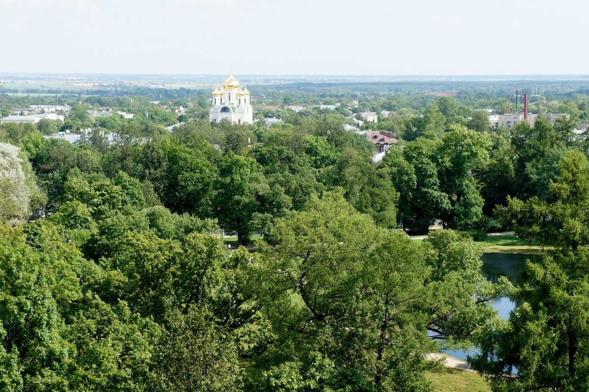 Вид со смотровой площадки Белой  башни. Екатерининский собор - Елена Павлова (Смолова)