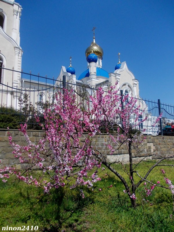 В парке "Дружба" - Нина Бутко