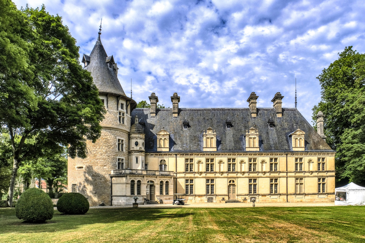 замок Монтииньи/Об  (chateau de Montigne/Aube) - Георгий А