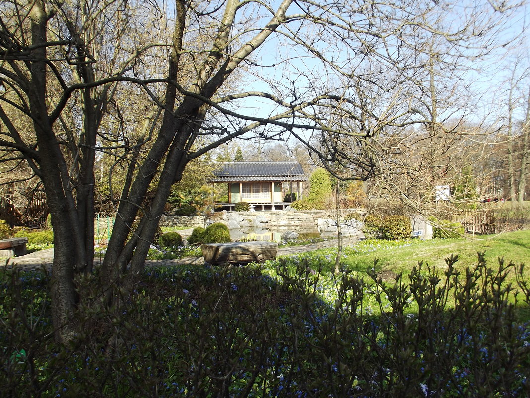 Японский садик в Ботаническом - Вероника 