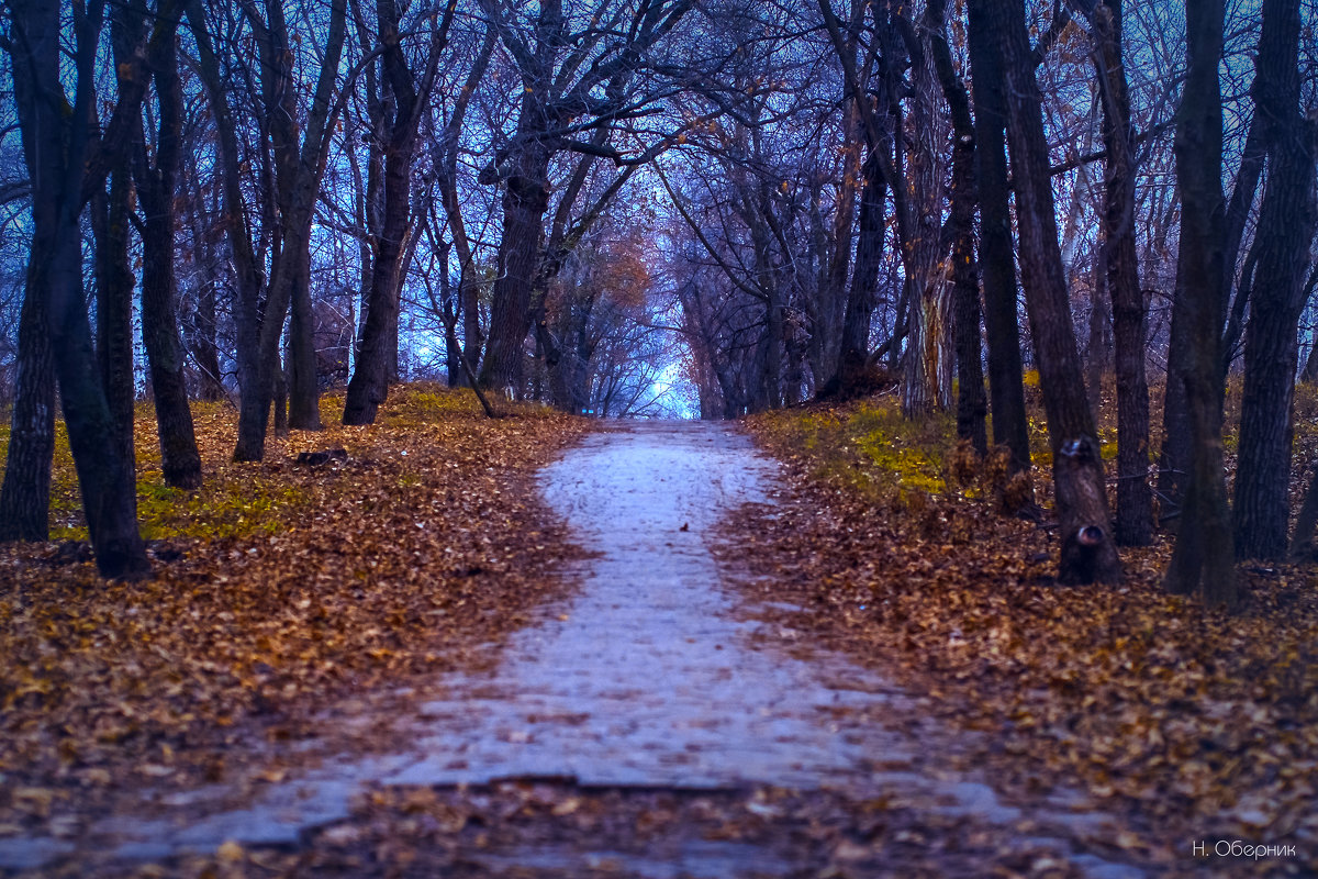 Тропа в неизвестность - Никита Оберник