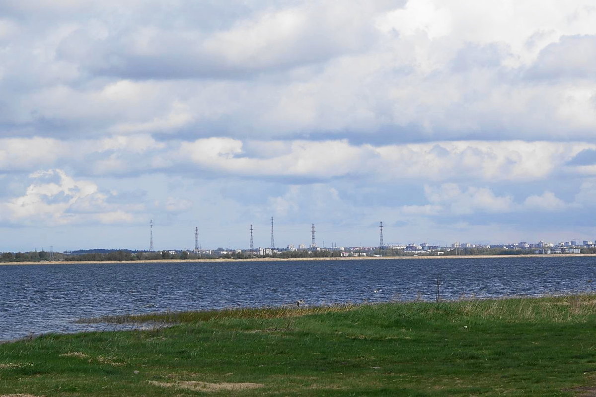 Панорама Калининграда со стороны Ушаковского залива - Маргарита Батырева