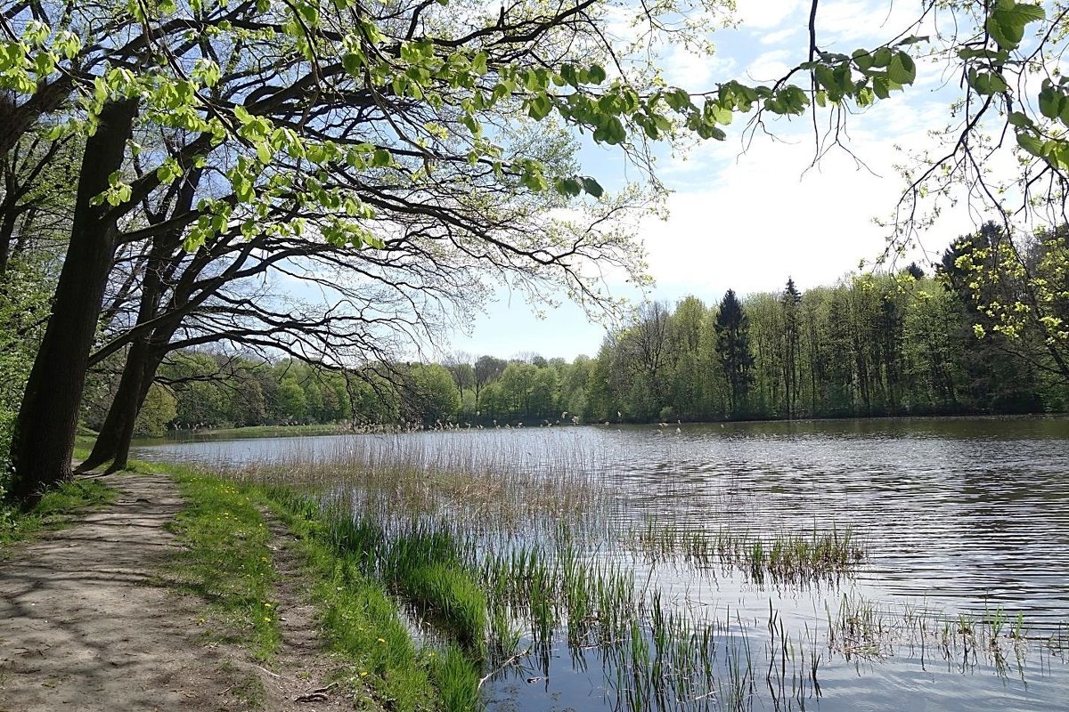 Пруд Нескучный - Маргарита Батырева