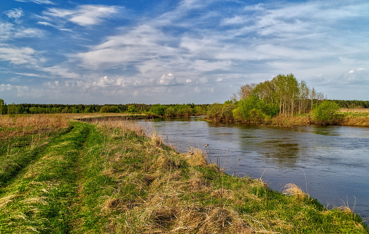 Течёт река Клязьма - Андрей Дворников