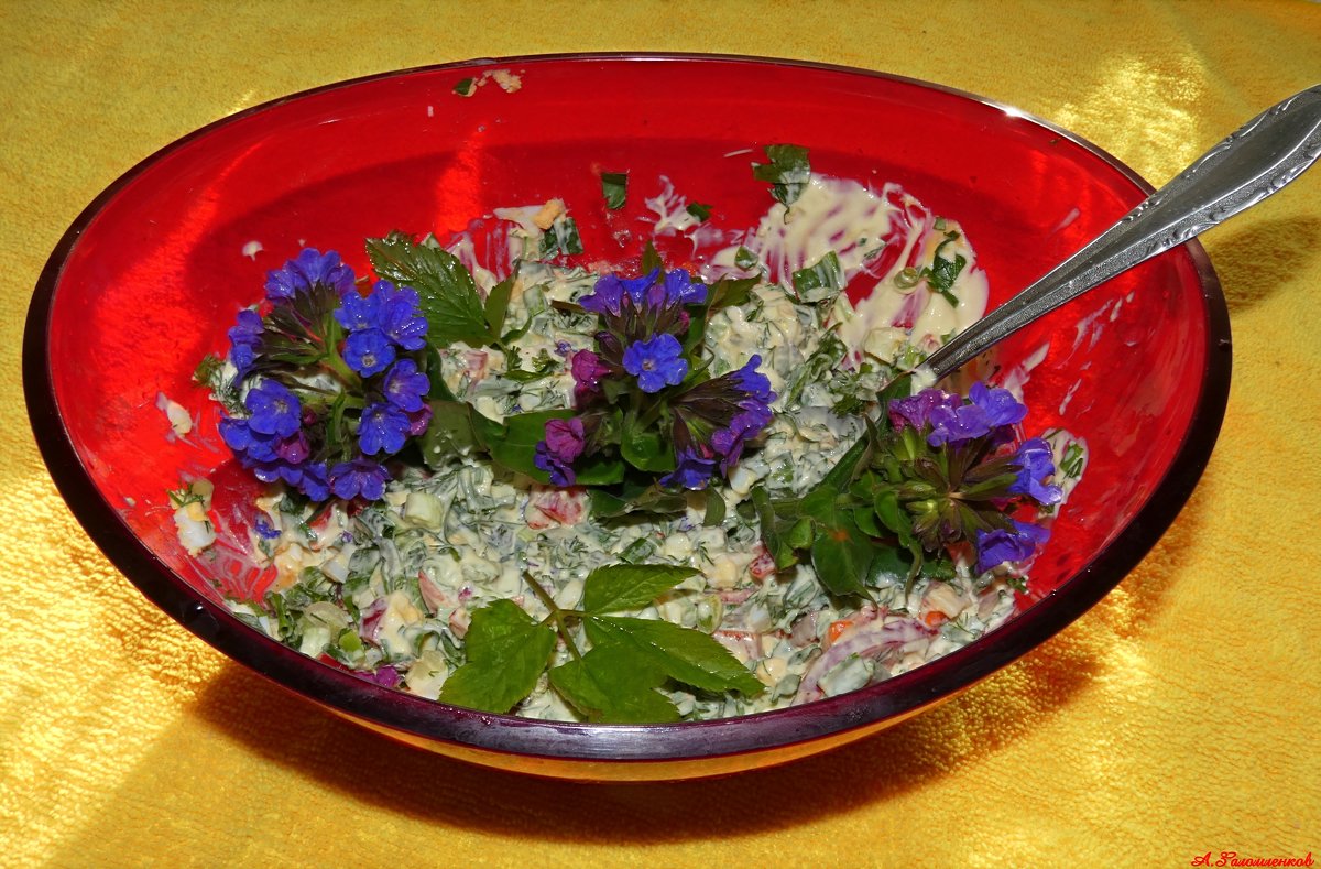 Весенний салатик с медуницей и снытью - Андрей Заломленков