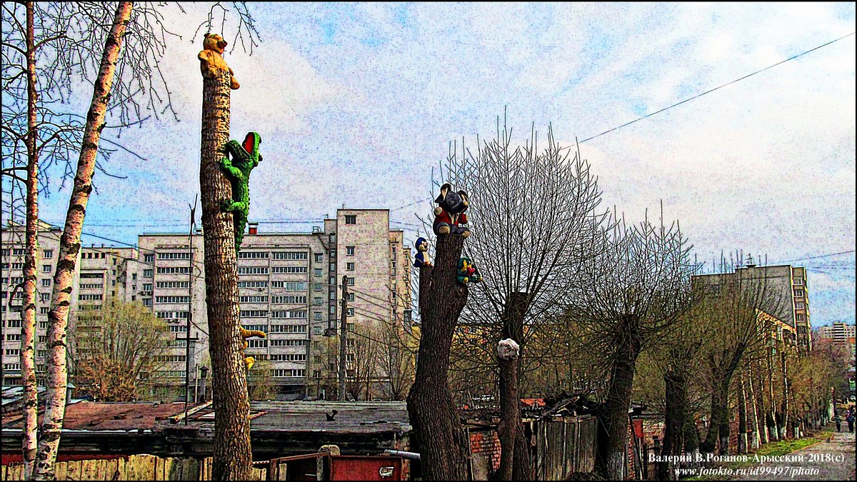 ВЛАДИМИР ПРОВИНЦИАЛЬНЫЙ - Валерий Викторович РОГАНОВ-АРЫССКИЙ