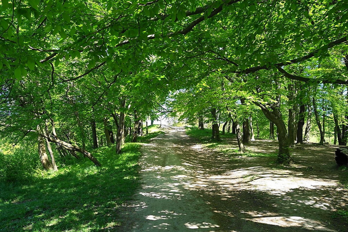 Ашманн парк - Маргарита Батырева