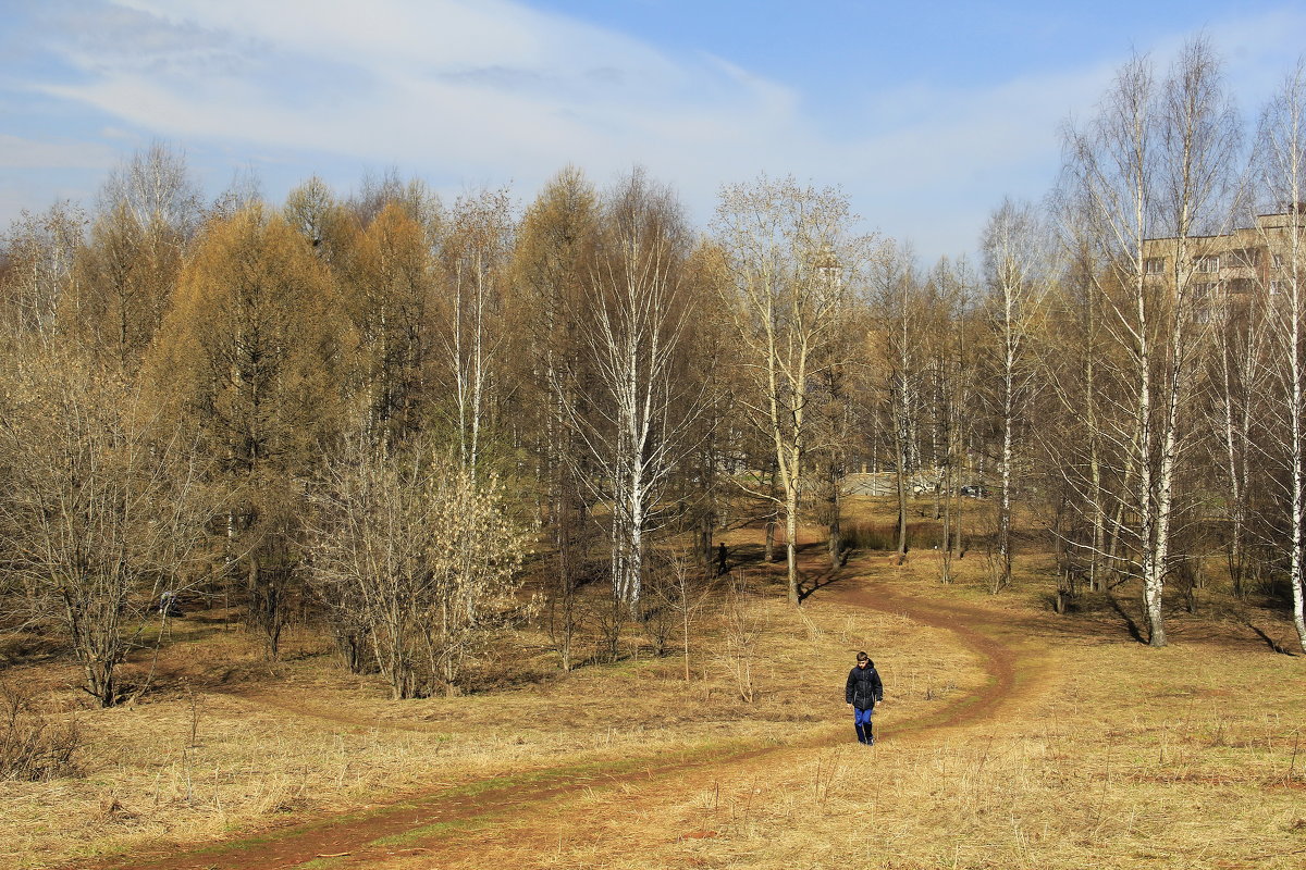 В парке - Галина Новинская