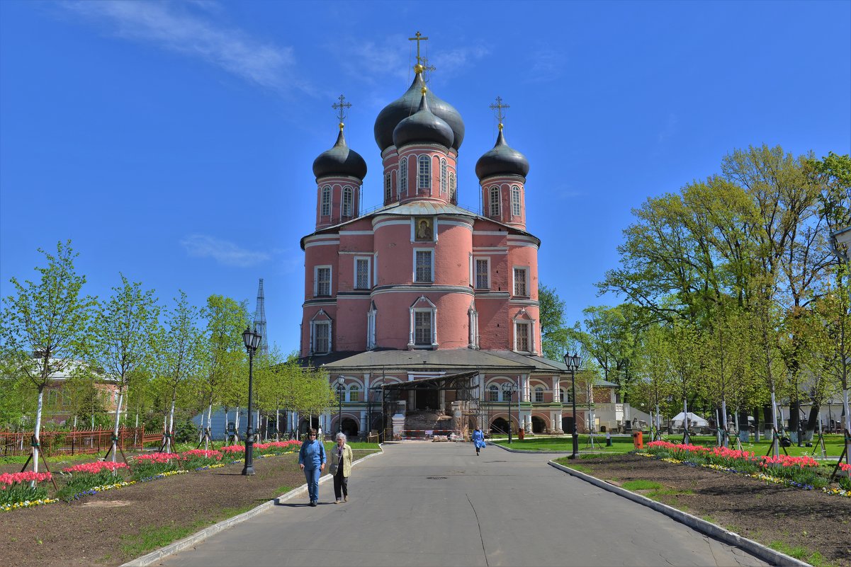 Донской монастырь - Константин Анисимов