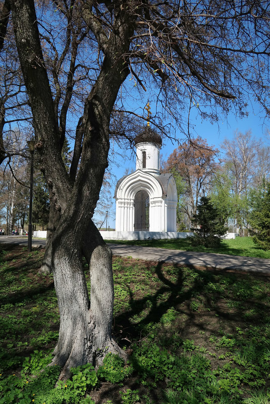 Май в городе - Марина Лукина