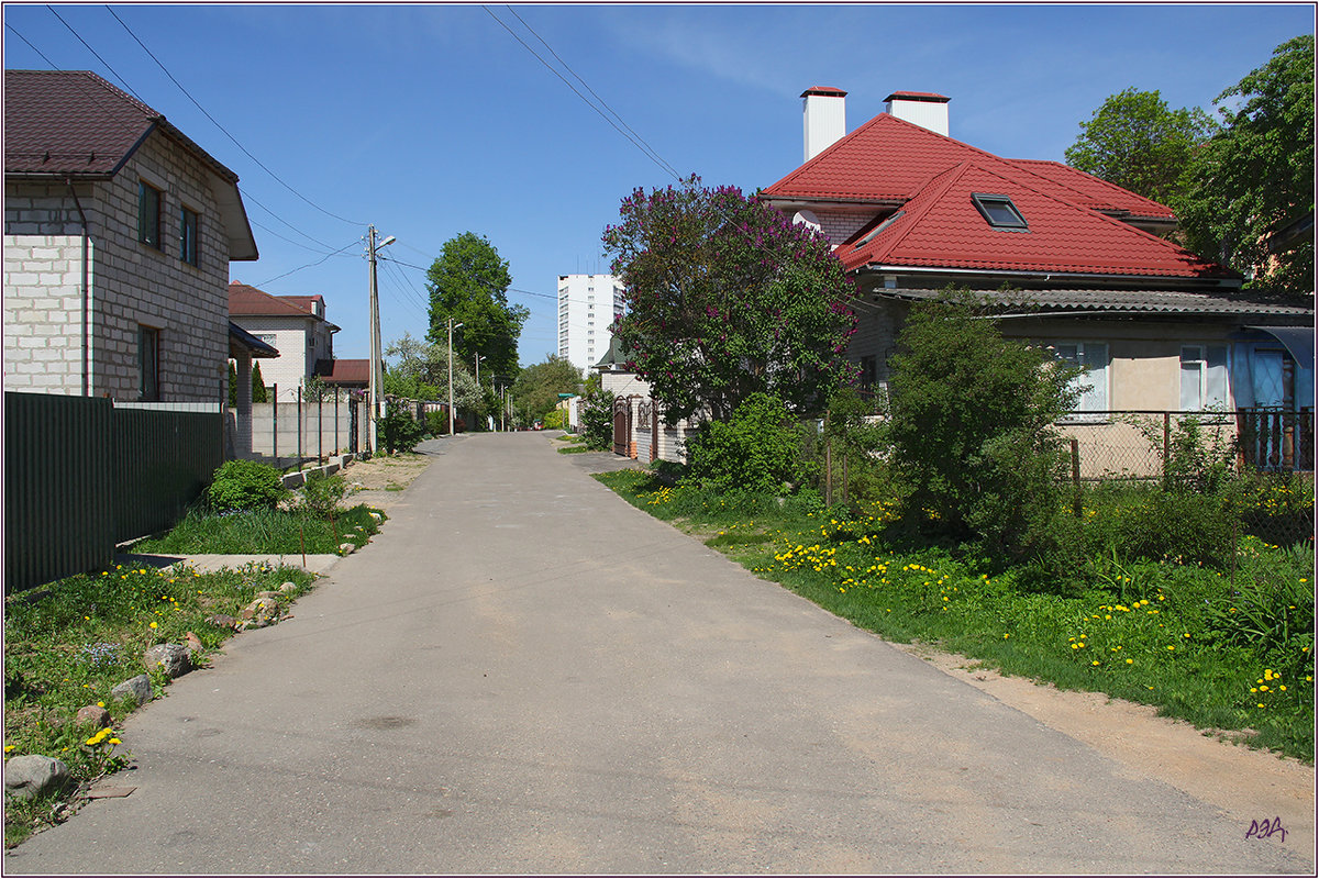 *** - Роланд Дубровский