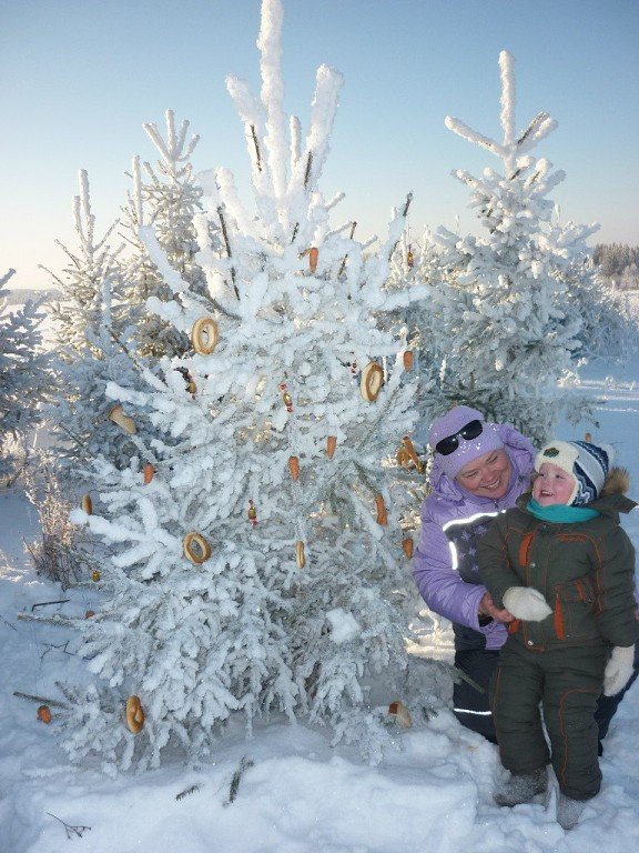 Новогодняя ёлочка для зверюшек. - Елена Салтыкова(Прохорова)