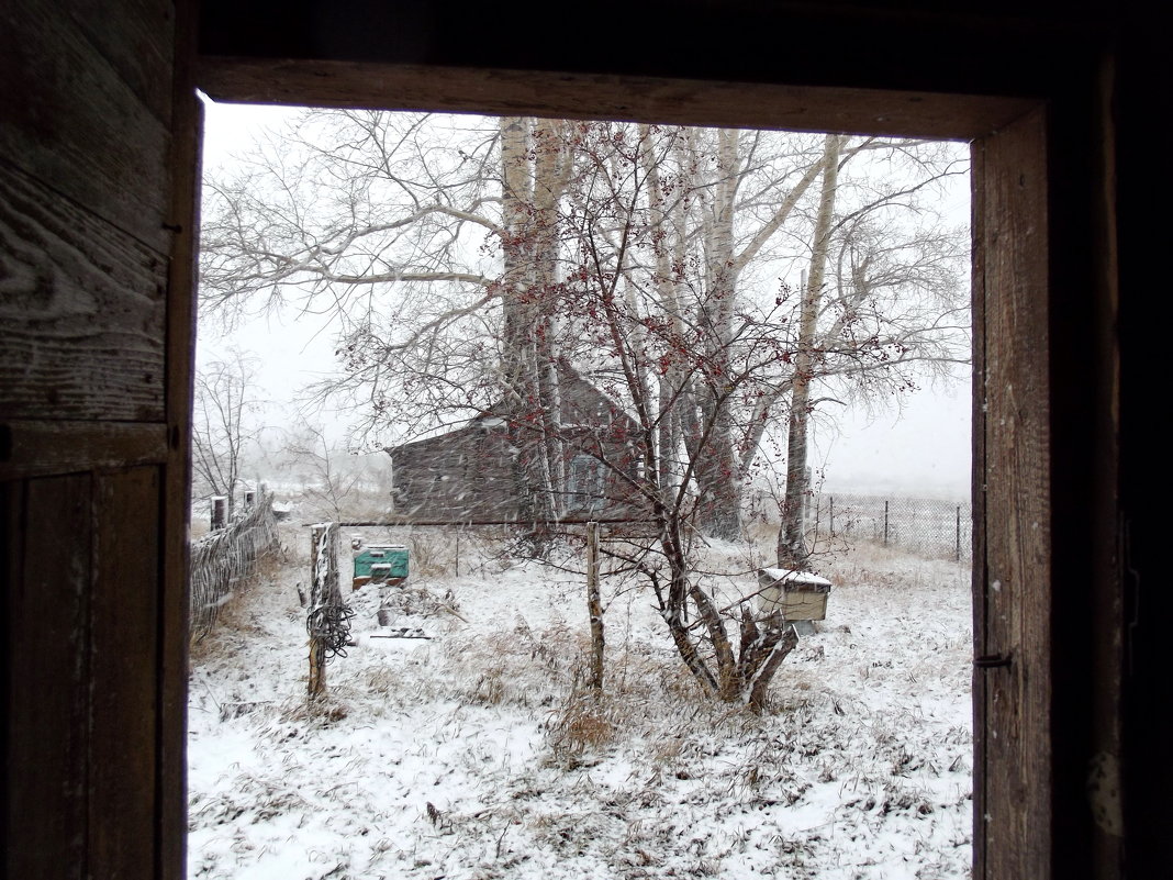 Первый снег - вид из-за дверей - Светлана Рябова-Шатунова