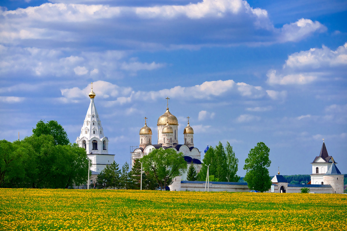 Жёлтые купола,над жёлтым полем - Николай Соколухин