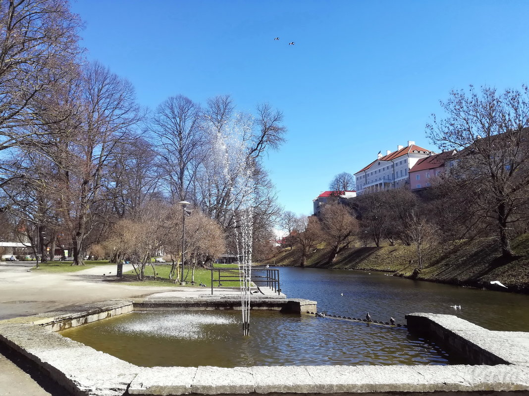 Тоомпарк – парк и пруд Шнелли, Таллин - veera v