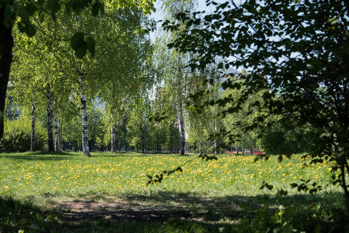 *** - Владимир Безбородов