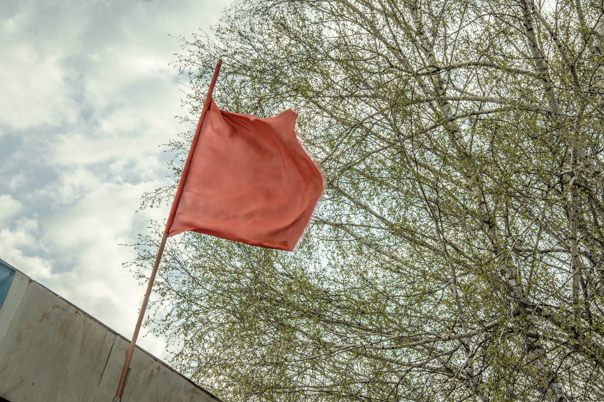 Красное знамя - Елизавета Журавлева
