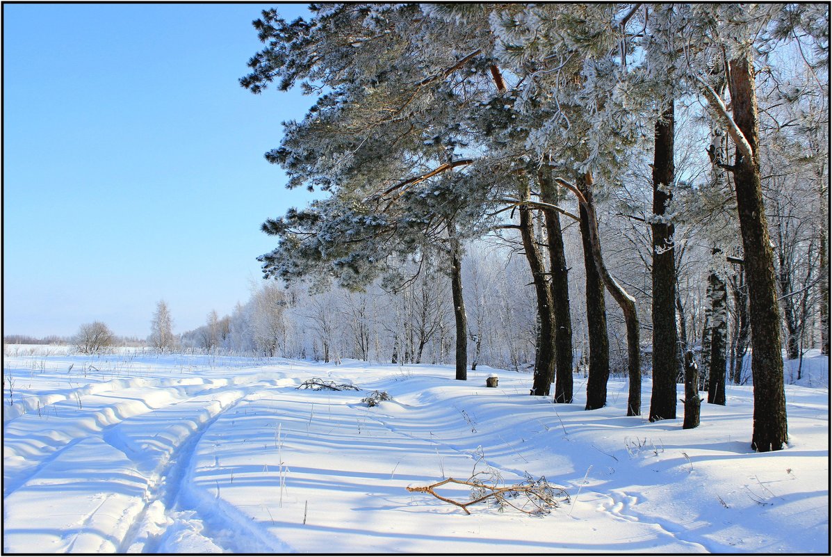 Зима - Сергей 