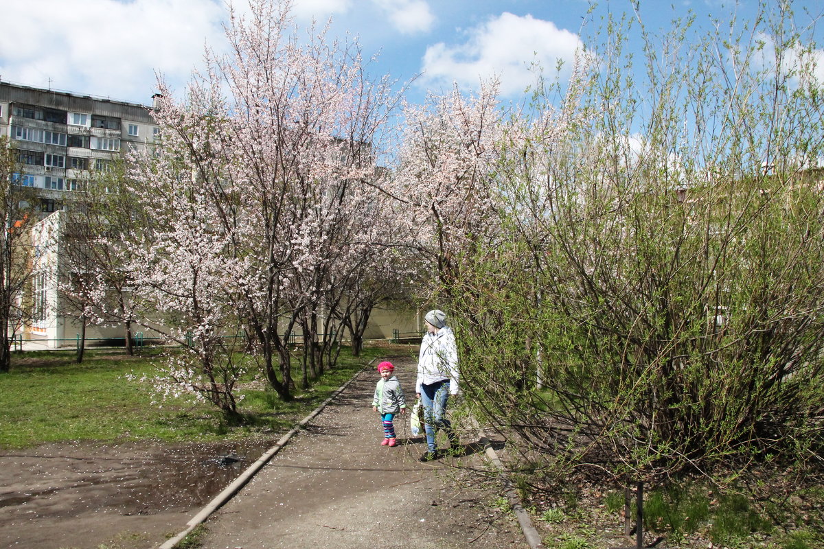 Весна майская - Олег Афанасьевич Сергеев