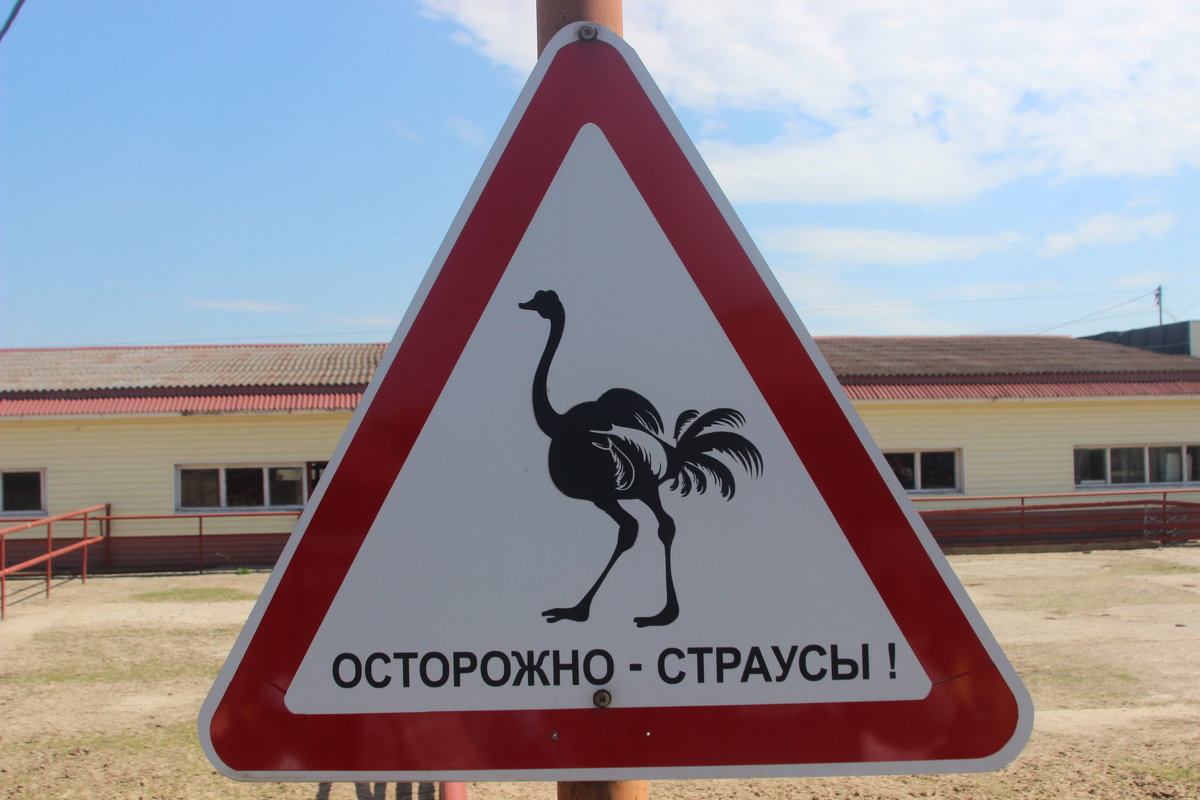 дорожный знак - Дмитрий Солоненко