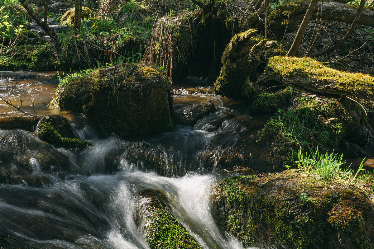 National park Stolby, Russia, Siberia, Krasnoyarsk. - Igor Novikov