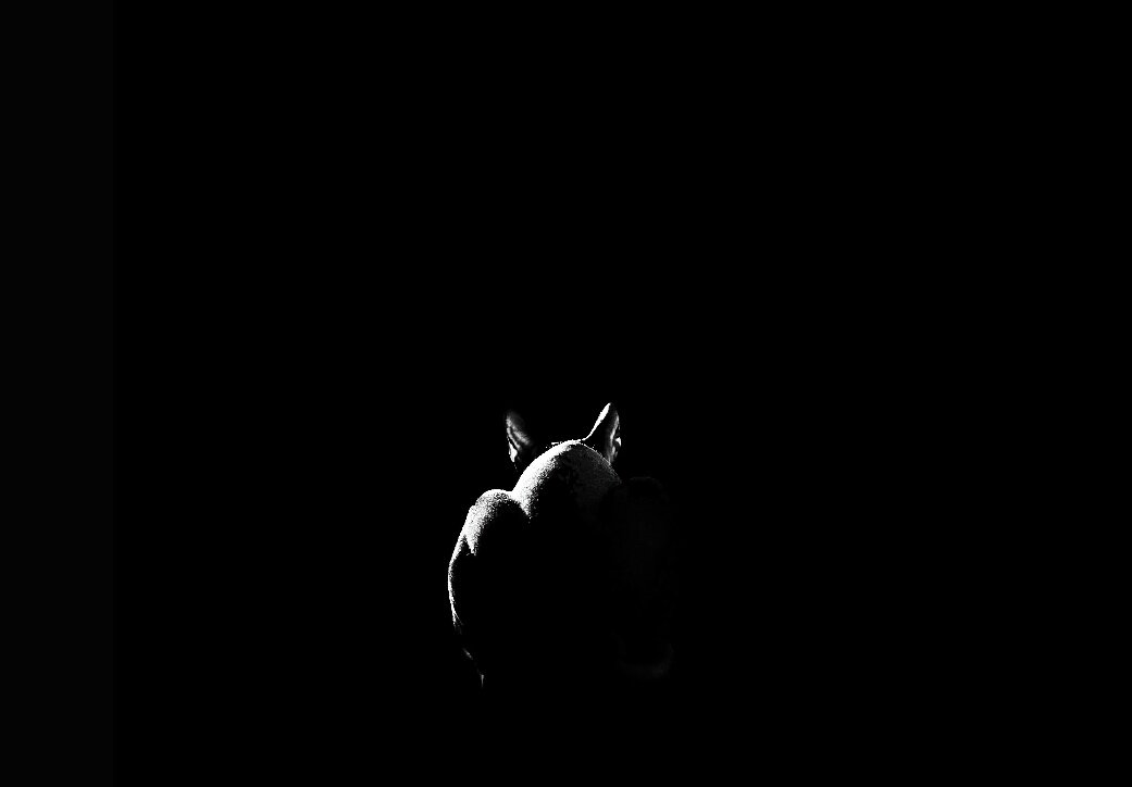 Черный кот - Марина Влади-на