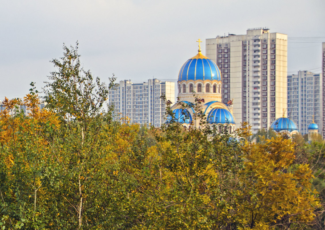 Орехово-Борисово - Анатолий Цыганок