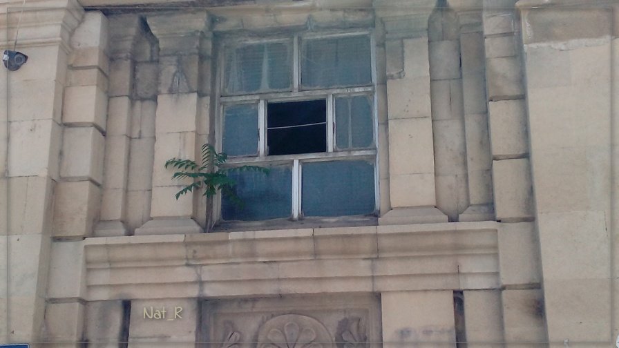 окно старой восточной бани... - maxim 