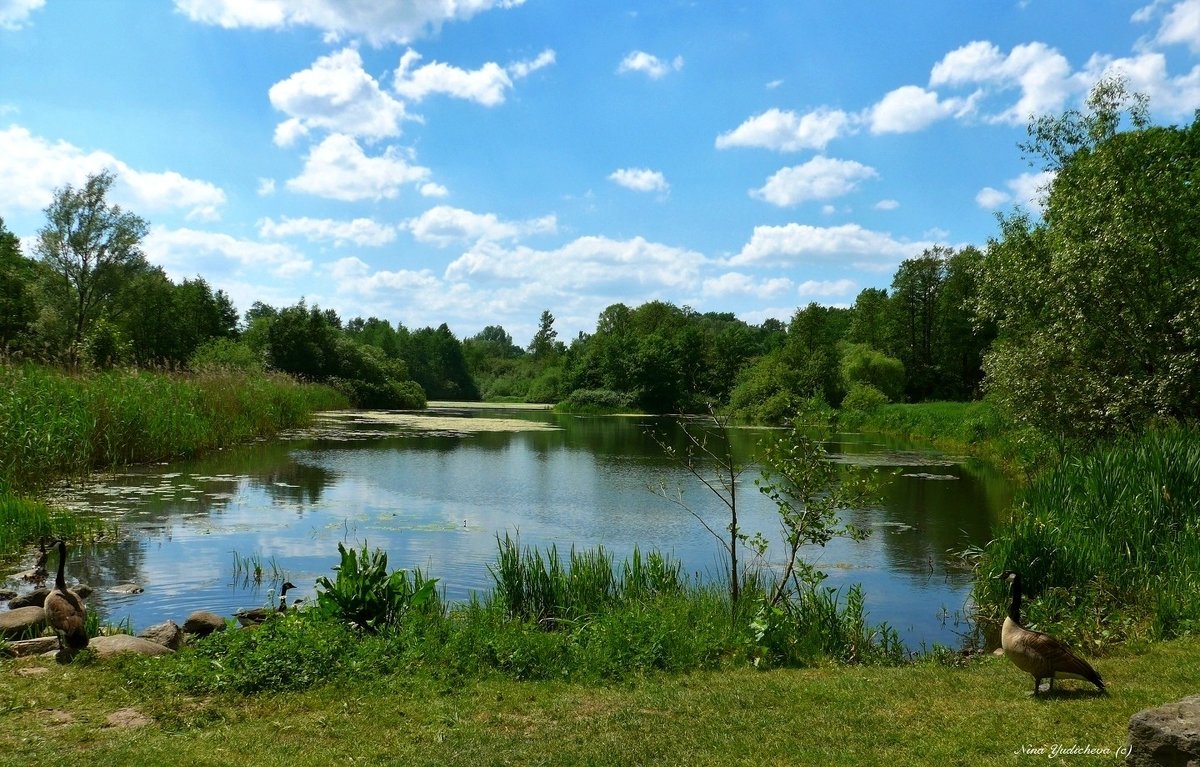 Außenmühlenteich Hamburg Harburg - Nina Yudicheva