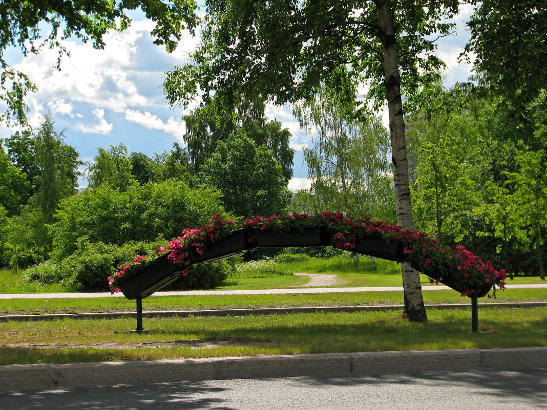 Цветочная арка на Светлановском проспекте - максим лыков