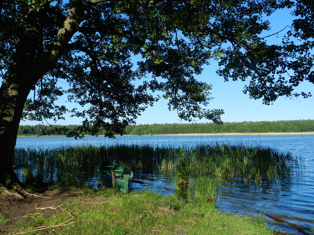 озеро в людиново калужской области