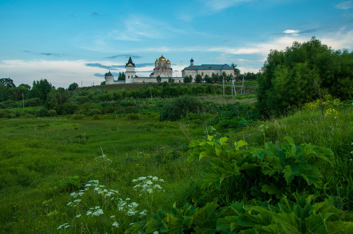 Можайский Лужецкий монастырь - Alexander Petrukhin 