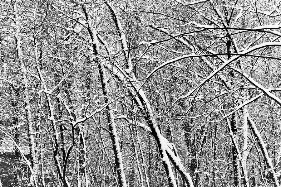 Winter abstract. - Андрий Майковский