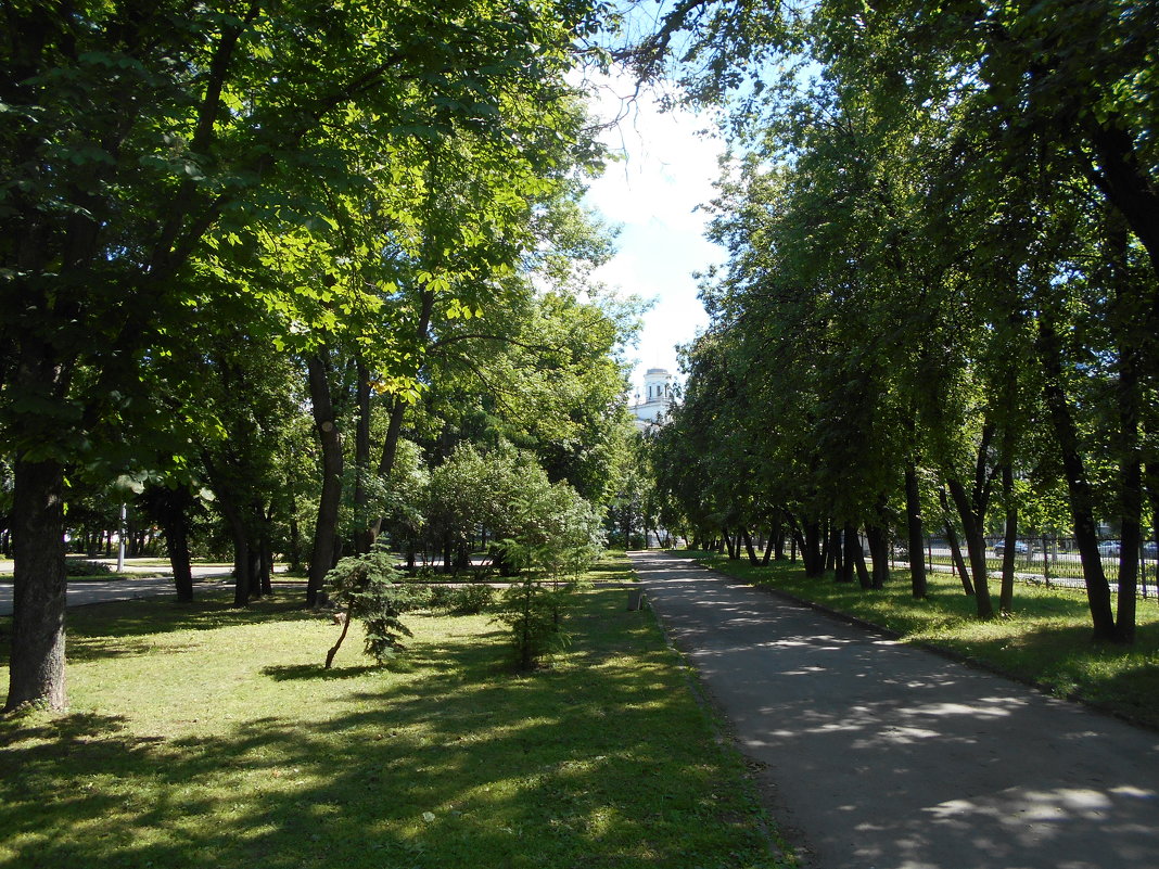 Аллея в сквере на ул.Циолковского - Tarka 