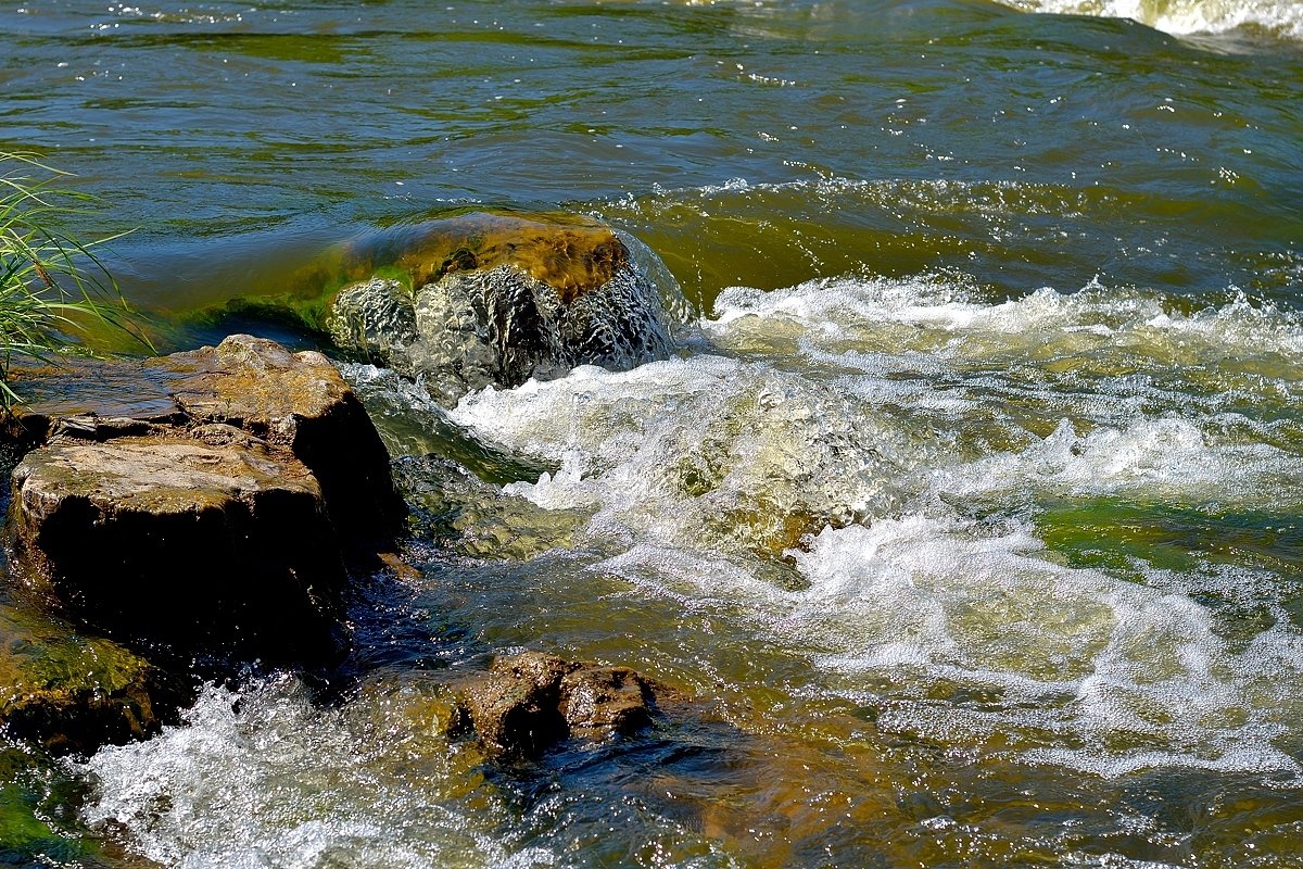 Камень, водоросли, вода. - Владимир Мигонькин