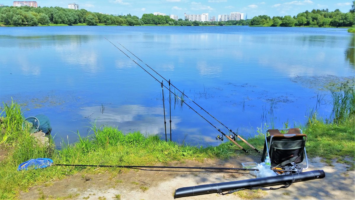 Рыбалка в Царицыно - Константин Анисимов