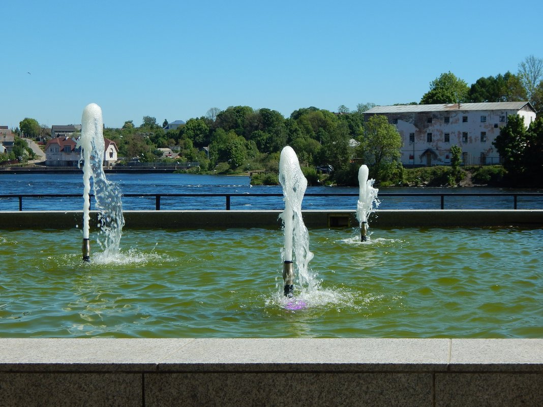 фонтан у реки - linnud 