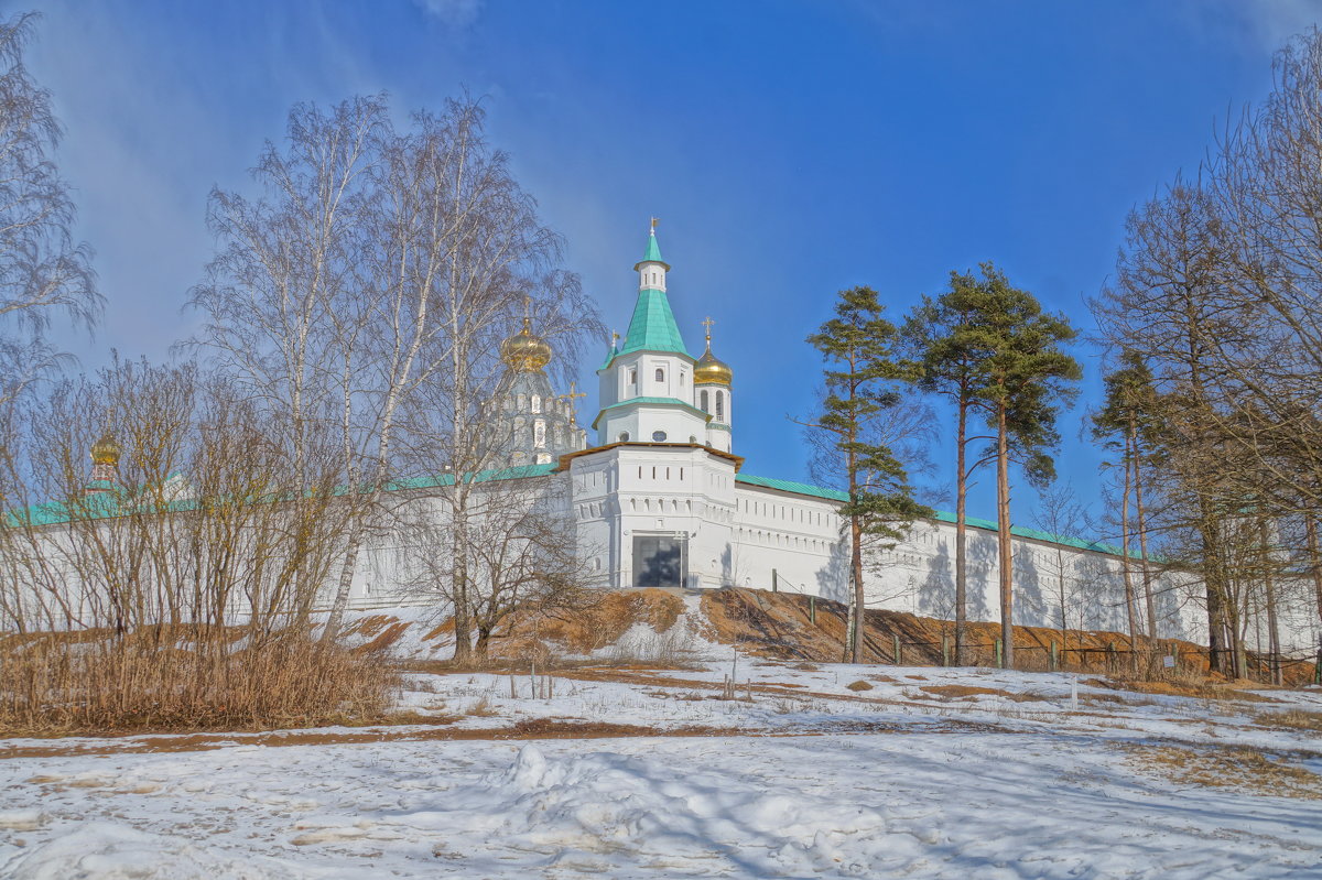 Возрожденная история - Ирина Шурлапова