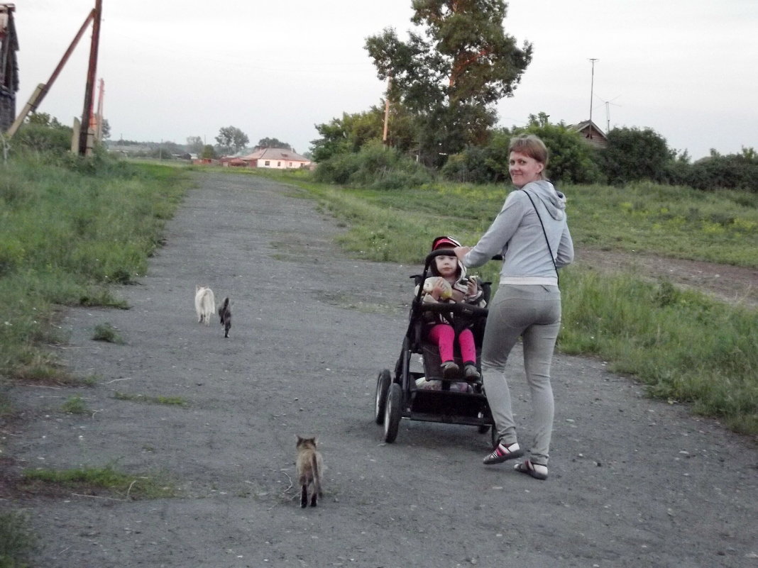 Гости наших котов - провожают домой Соню - Светлана Рябова-Шатунова