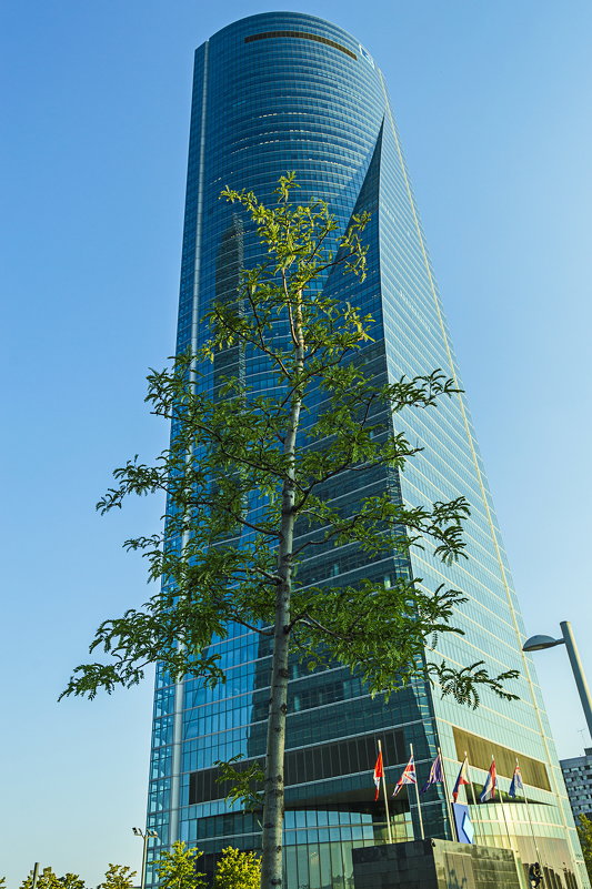Cuatro Torres Business Area (Испания,Мадрид) - Игорь 