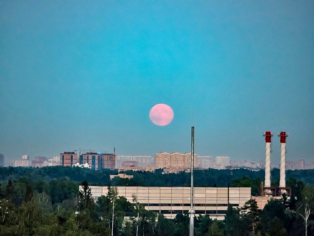 Красная луна над городом - Татьяна Симонова