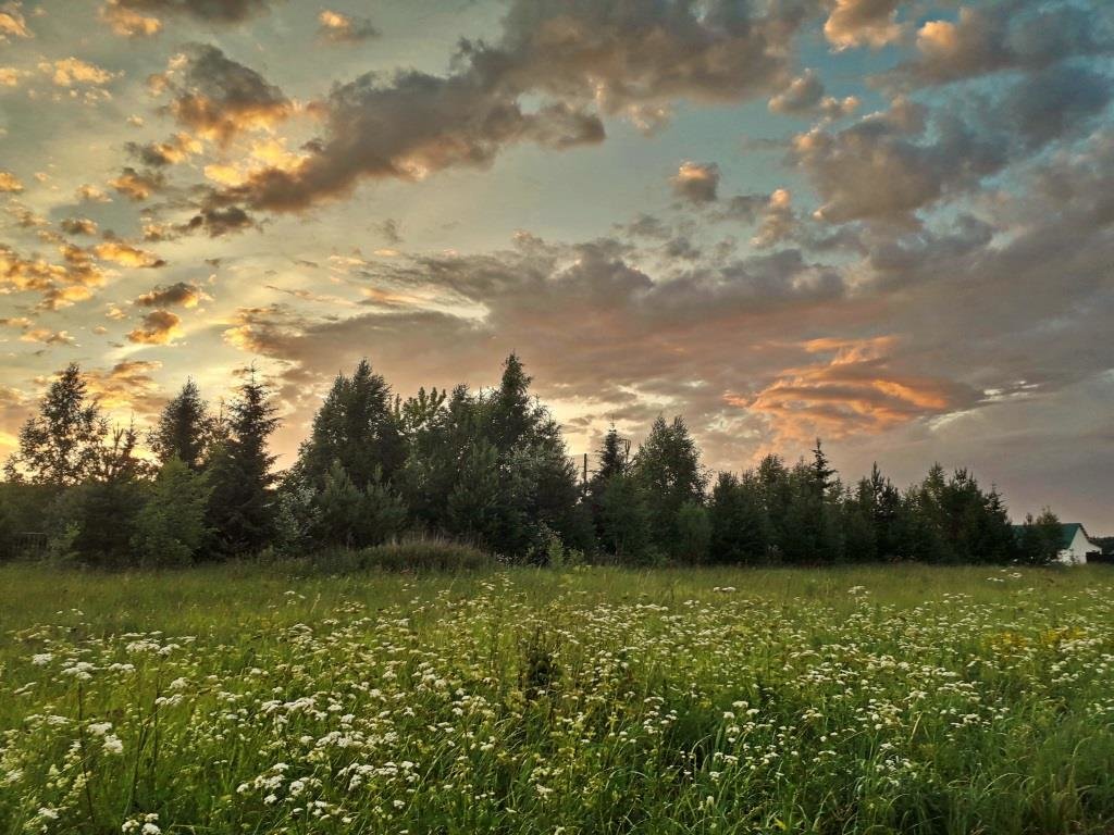 Закат над лесом - Лара Симонова 