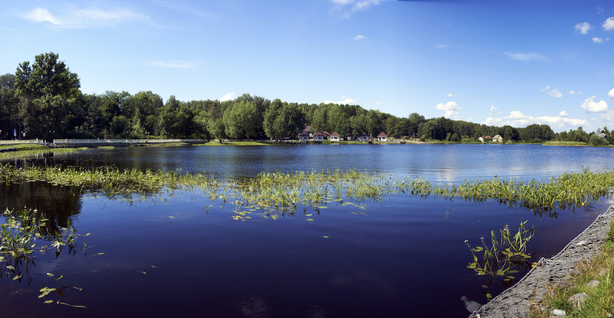 Колтушское озеро - Владимир 
