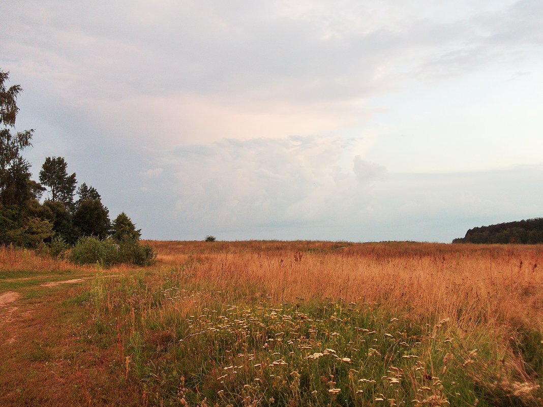 Красота природная. - Лариса Исаева