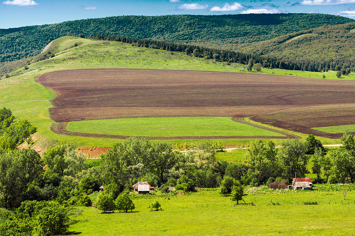 Родные просторы - Любовь Потеряхина