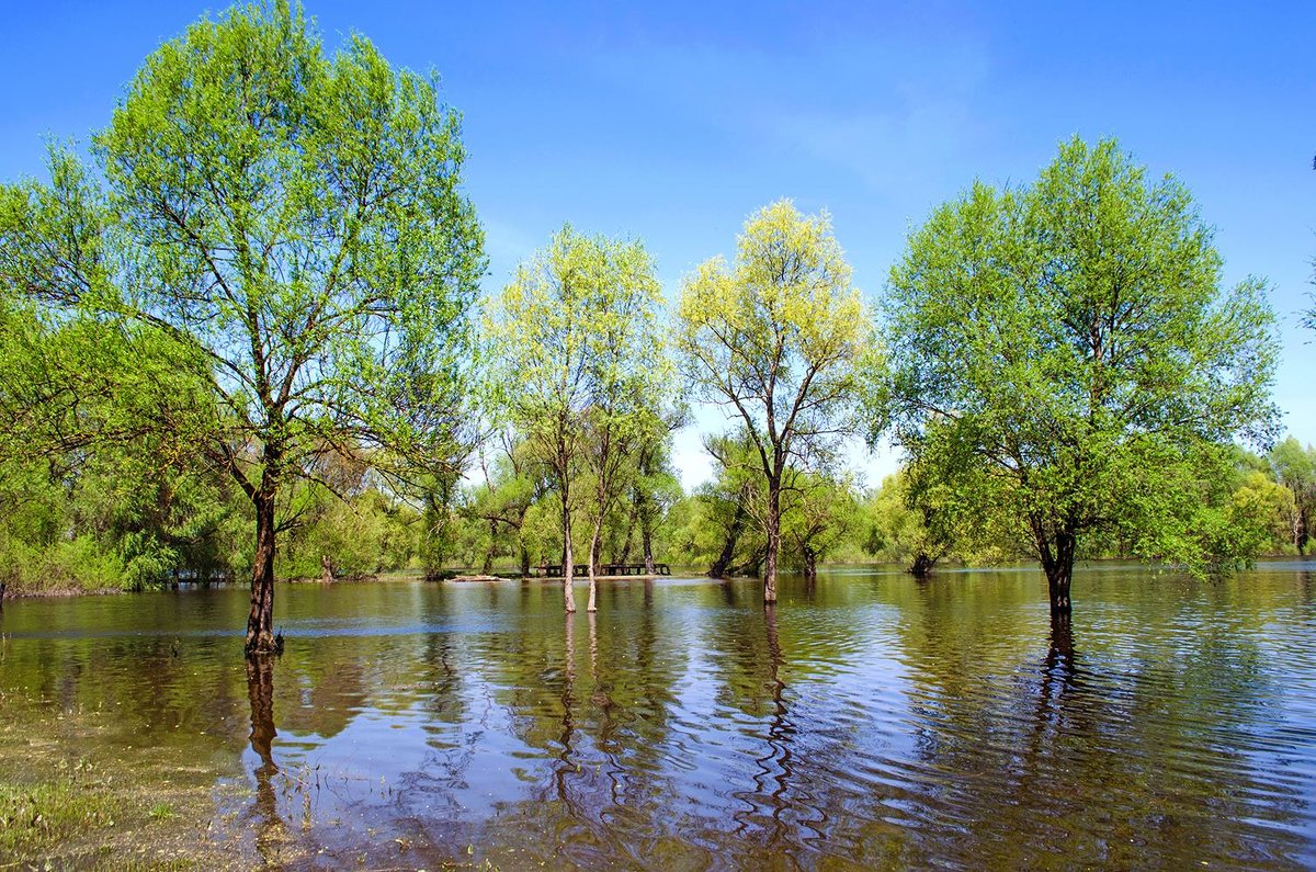 В воде - Сергей Тарабара