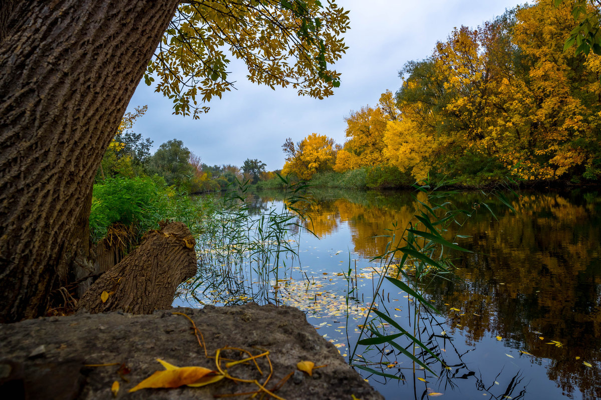 Осенний пейзаж - Александр Кан