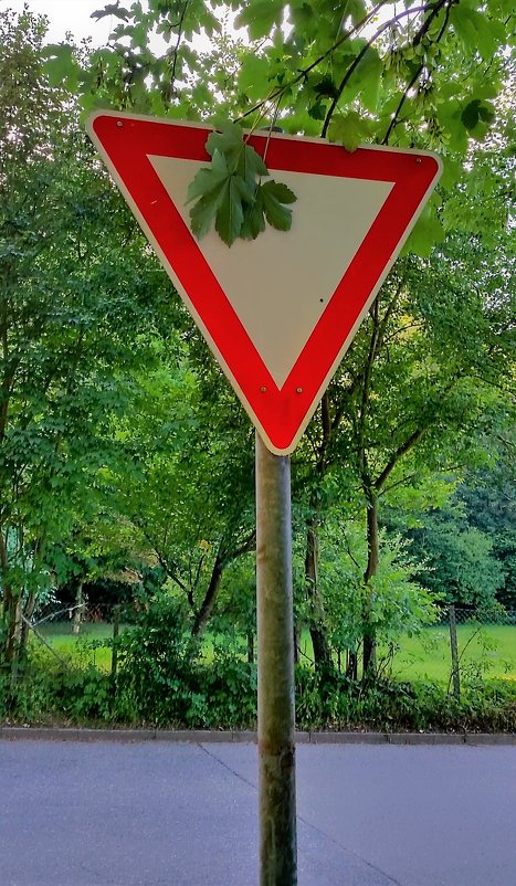 Новая модификация дорожного знака "Уступи дорогу" - Валерий Розенталь 